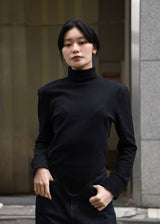 Zinc Rib Tail Turtle