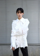 Ruffled Shirt