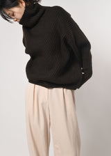Turtle Neck Pullover Knit