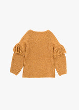 Earih Fringe V-neck Knit