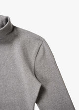 Zinc Rib Tail Turtle