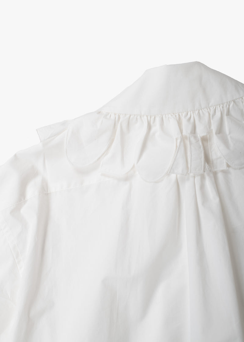 Ruffled Shirt