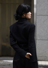 Zinc Rib Tail Turtle