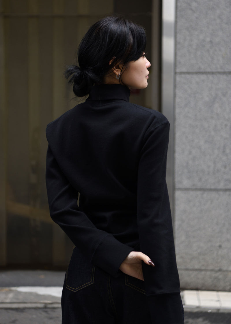 Zinc Rib Tail Turtle