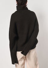 Turtle Neck Pullover Knit