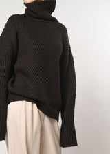 Turtle Neck Pullover Knit